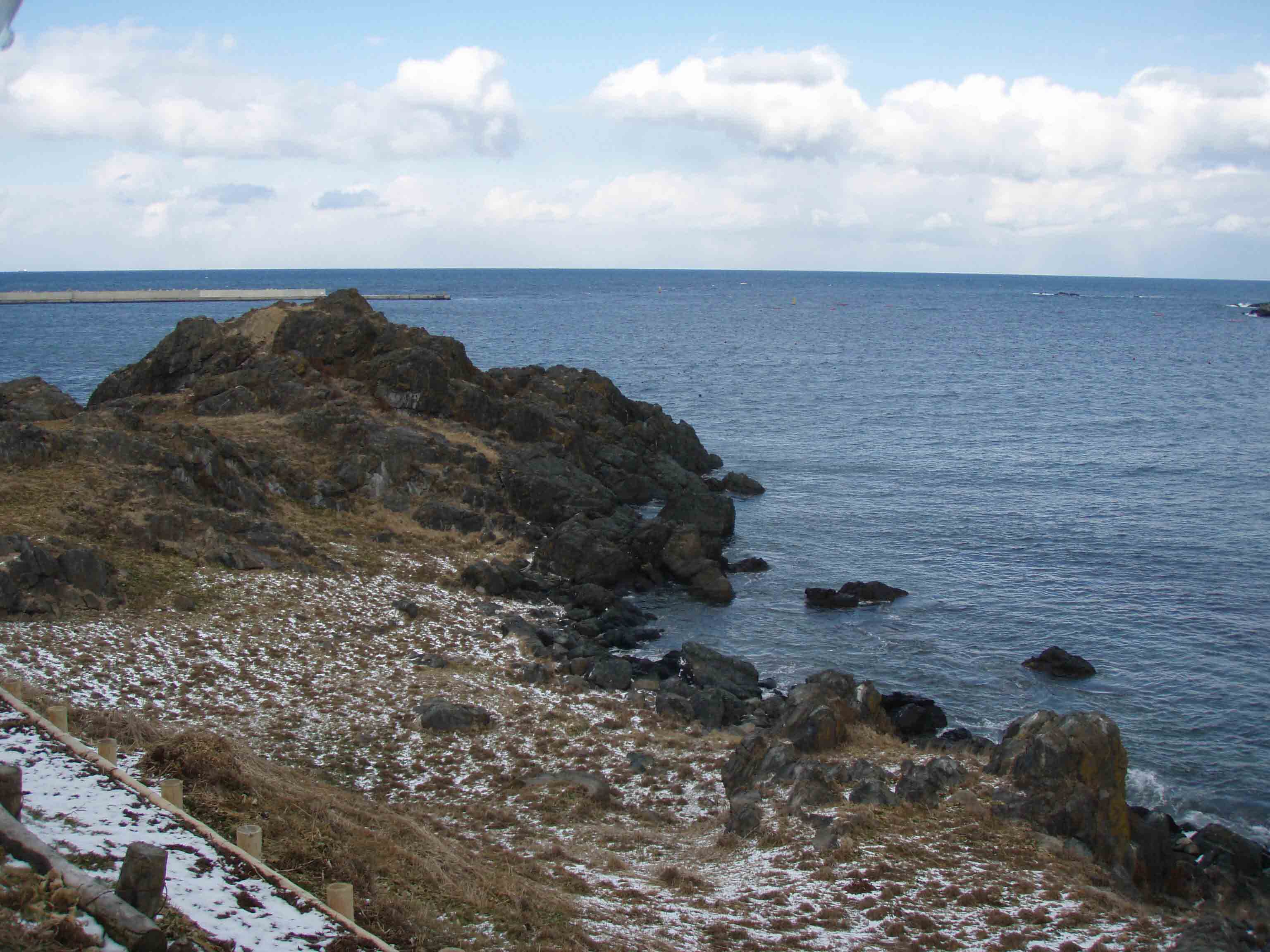 蕪島の海岸