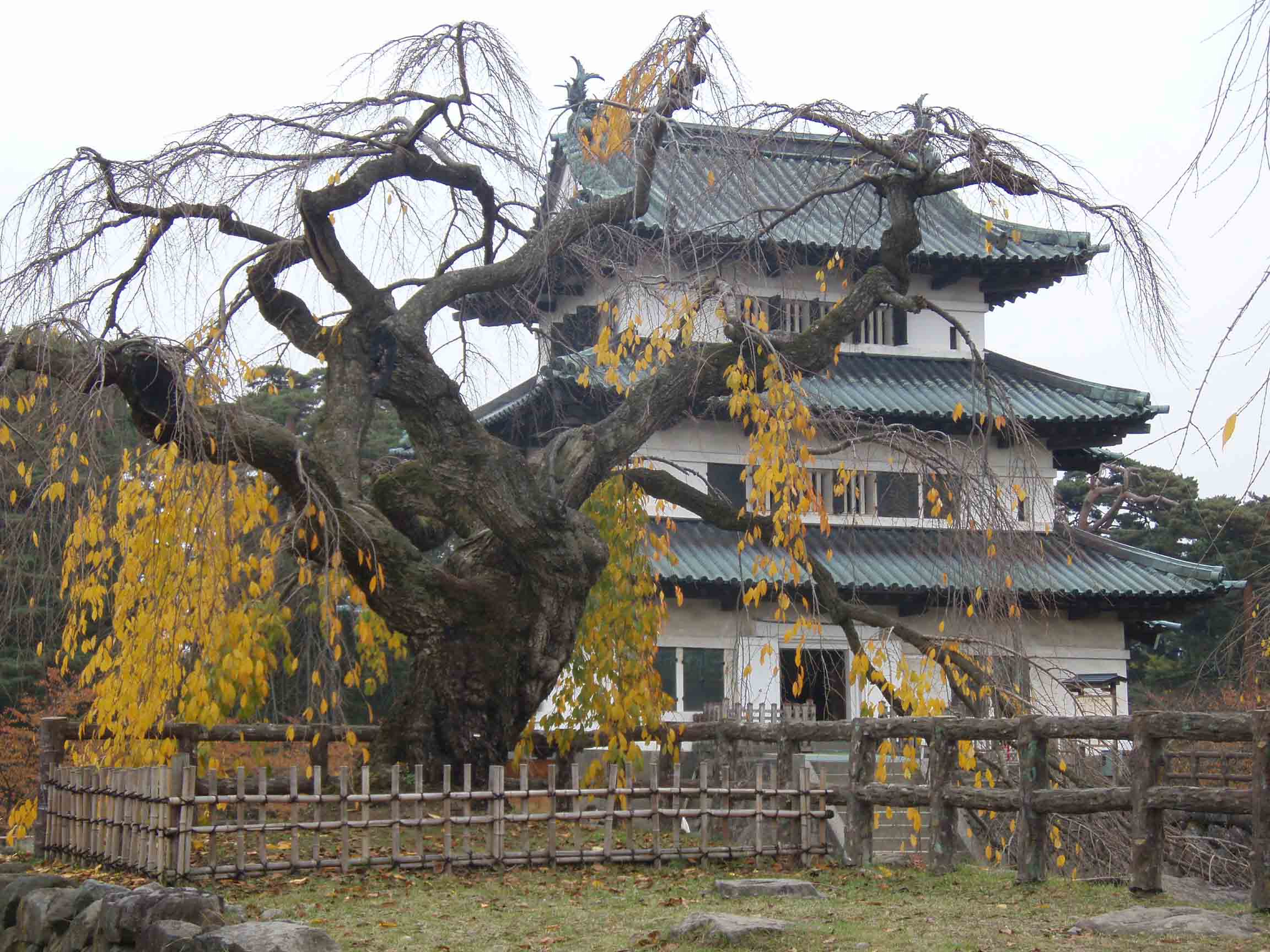 Hirosaki castle