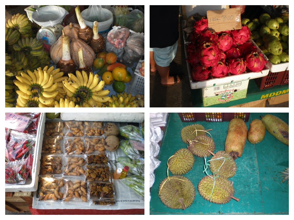 Tropical_market_23