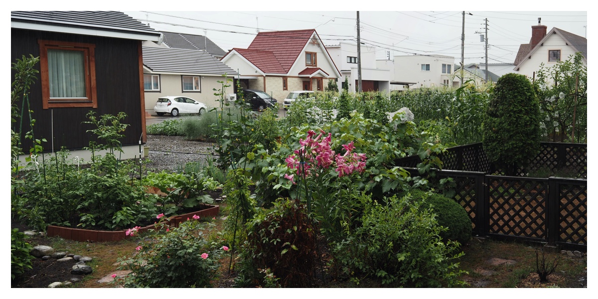 rainy_garden_small