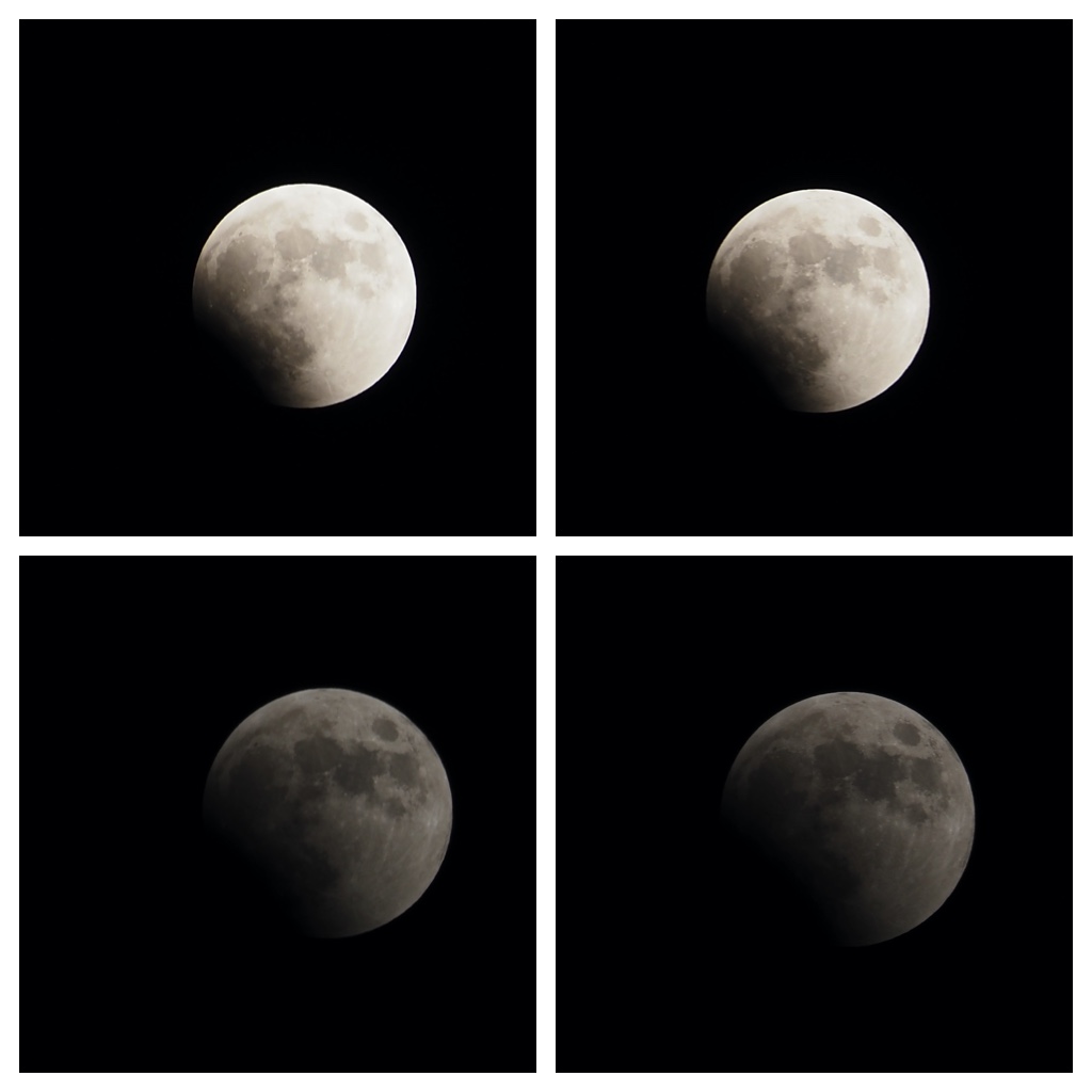 Eclipse_221108_1