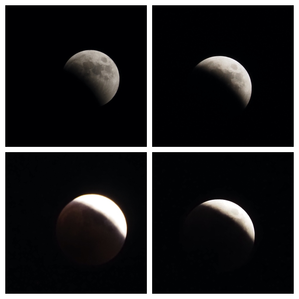 Eclipse_221108_2