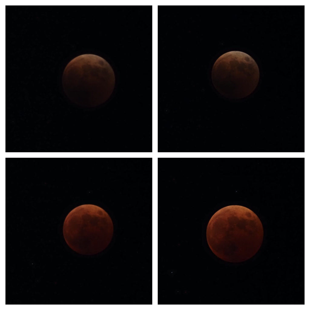 Eclipse_221108_3