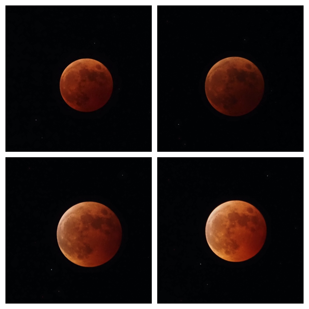 Eclipse_221108_4