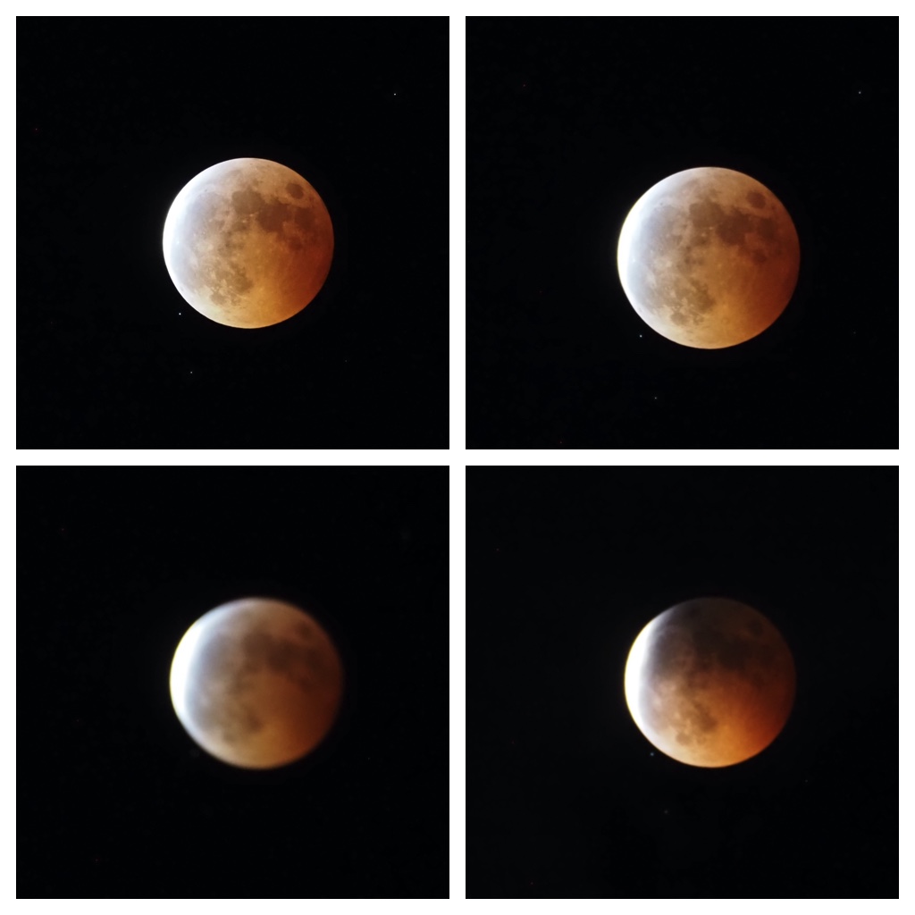 Eclipse_221108_5