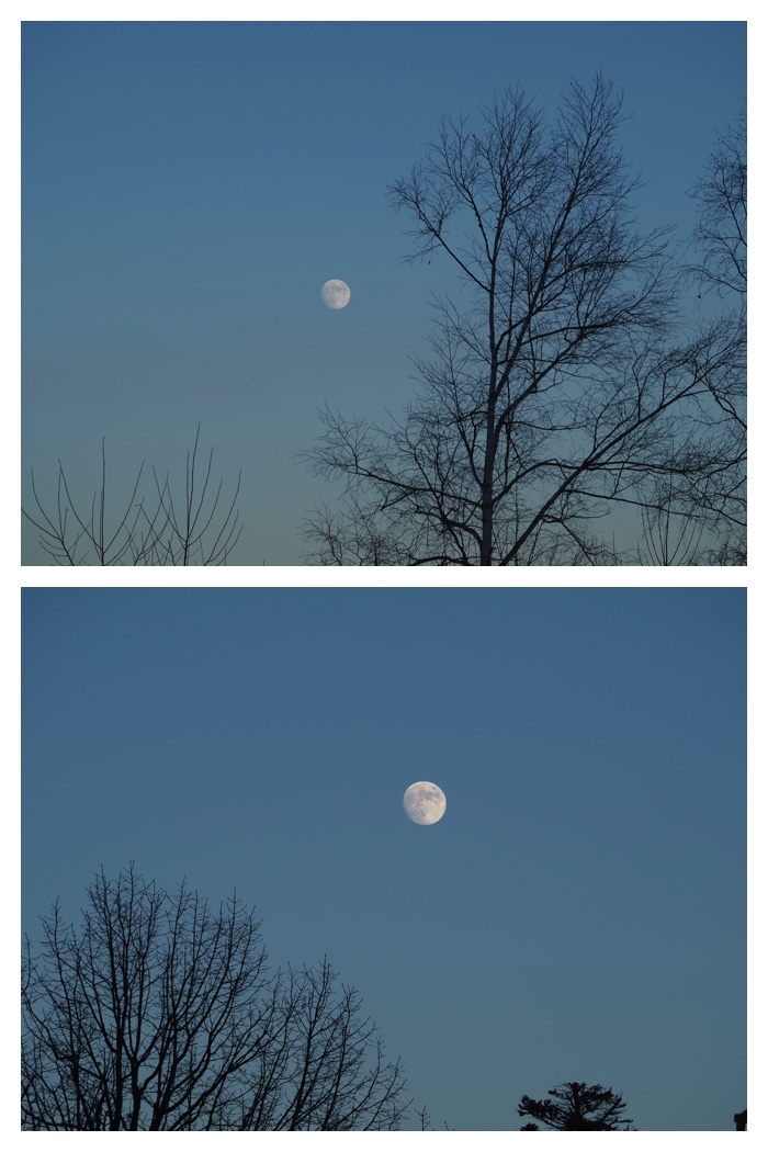 Moon_221209_8