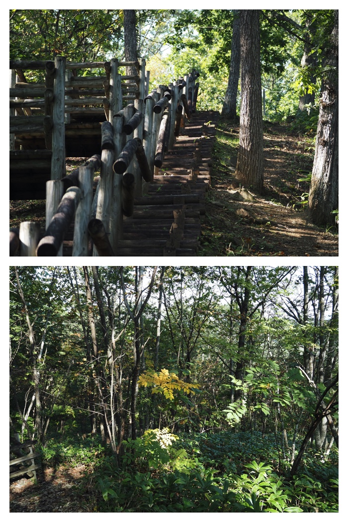 Arashiyama_220929_22