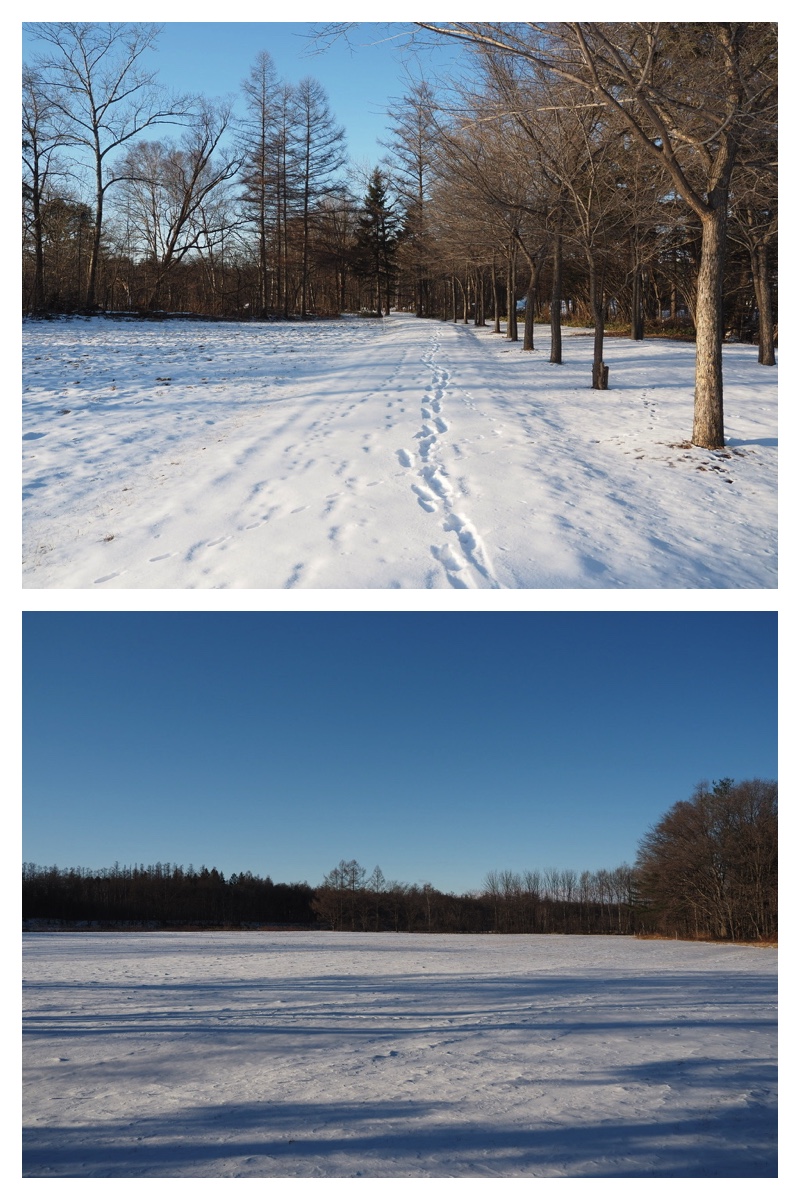 Snow_walk_231224_1