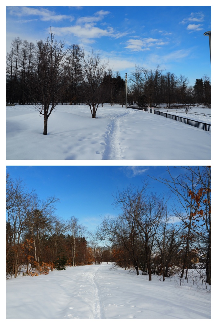 Snow_walk_230225_3