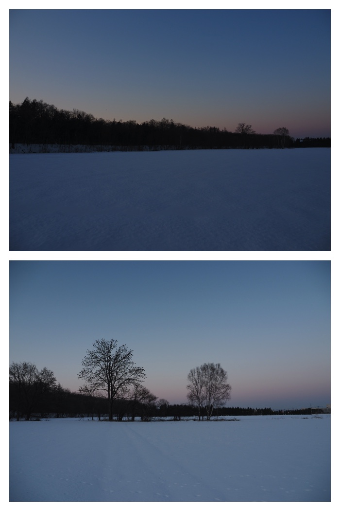 Evening_walk_230112_6