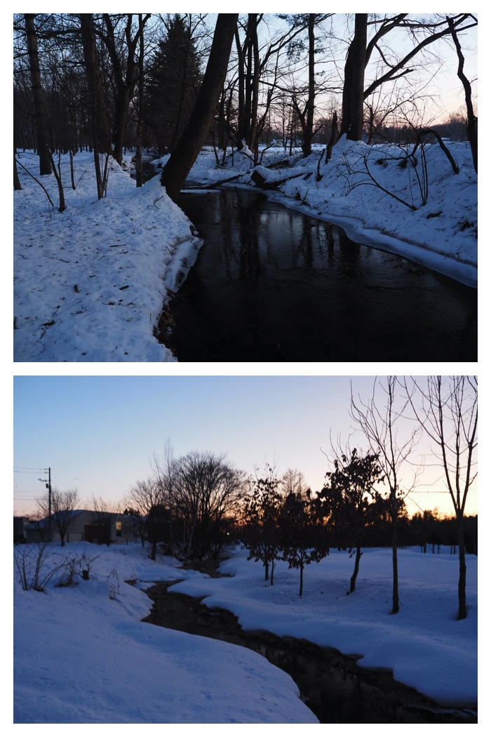 Evening_walk_230112_9