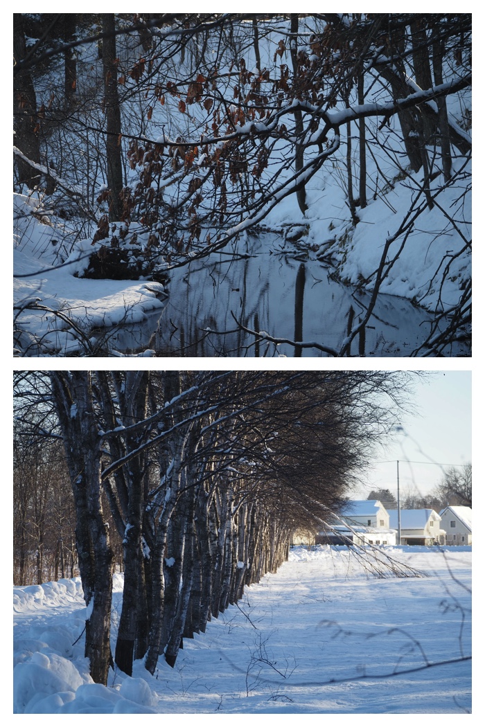 Snow_walk_230116_24