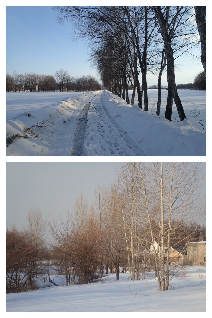 Snowy_walk_230303_11