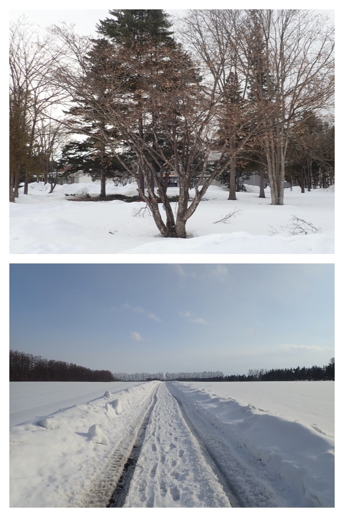 Snowy_walk_230303_8