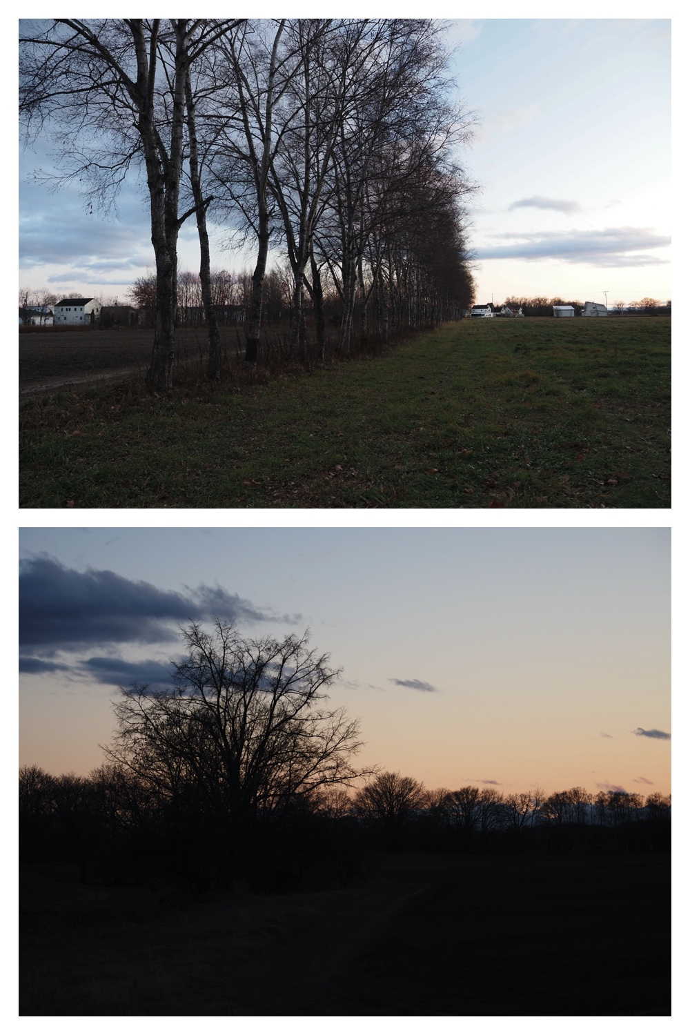 241125_Evening-walk_6