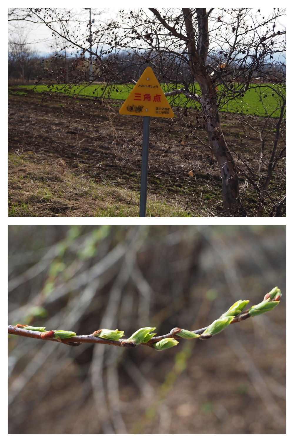 250422_Tokachi-Hills_26