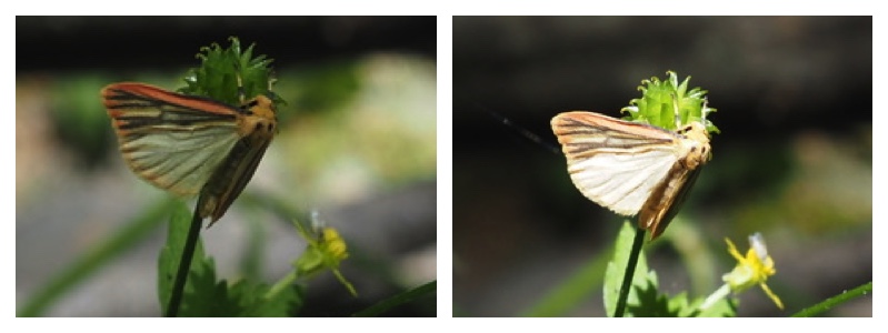 250712_Unknown
