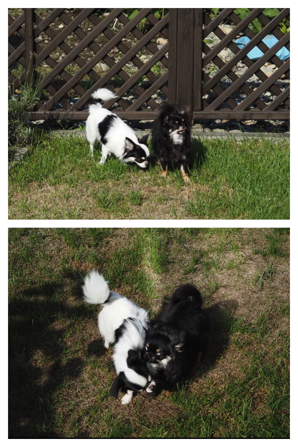 250813_Family_2