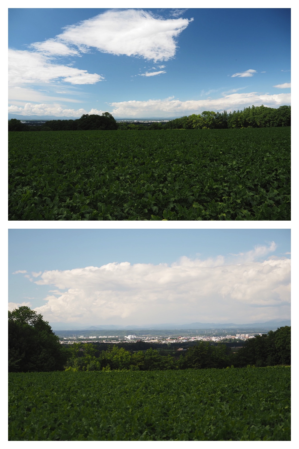 250821_Hills_1