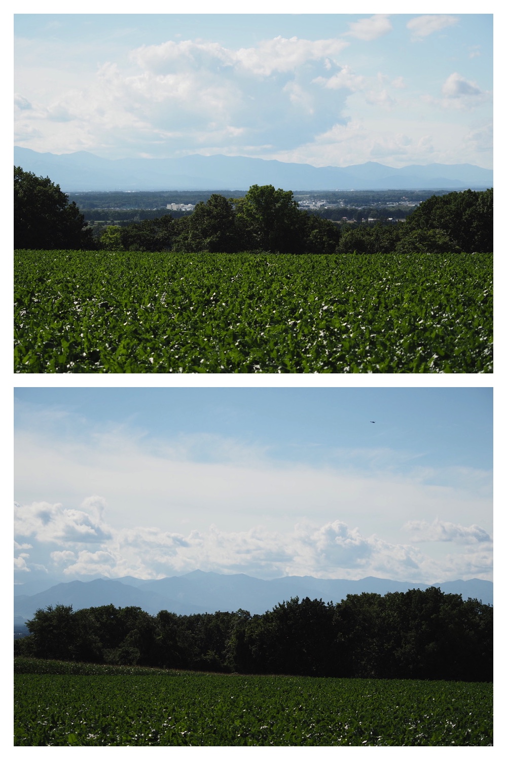 250821_Hills_15
