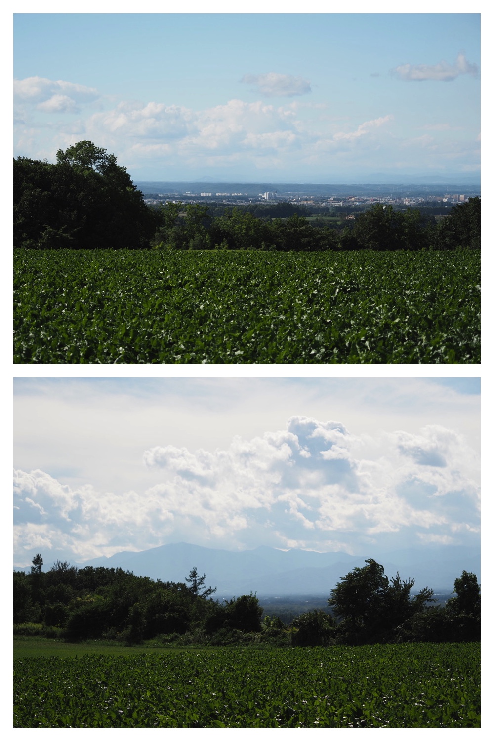 250821_Hills_16