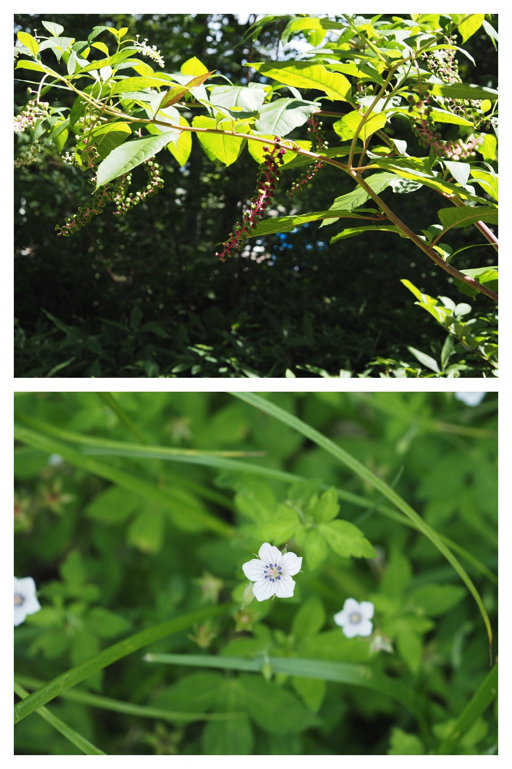250824_Chou_18