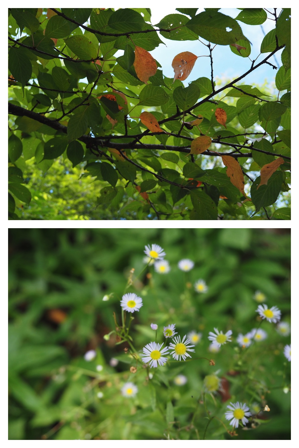 250824_Chou_7