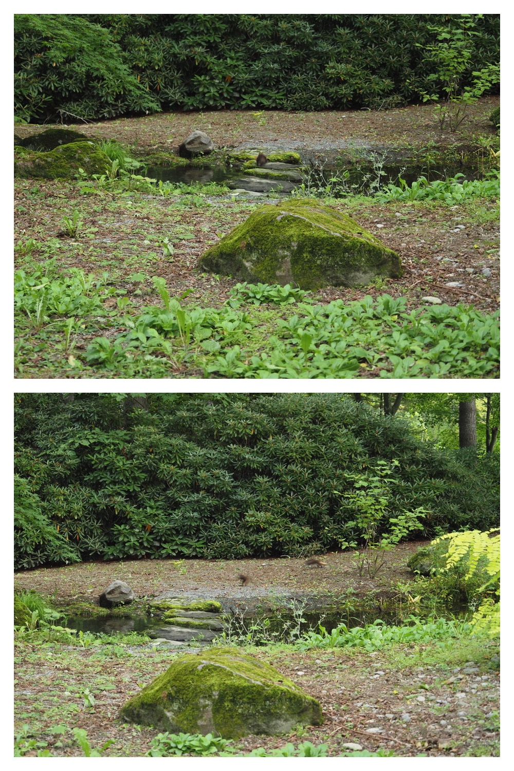 250831_Manabe_11