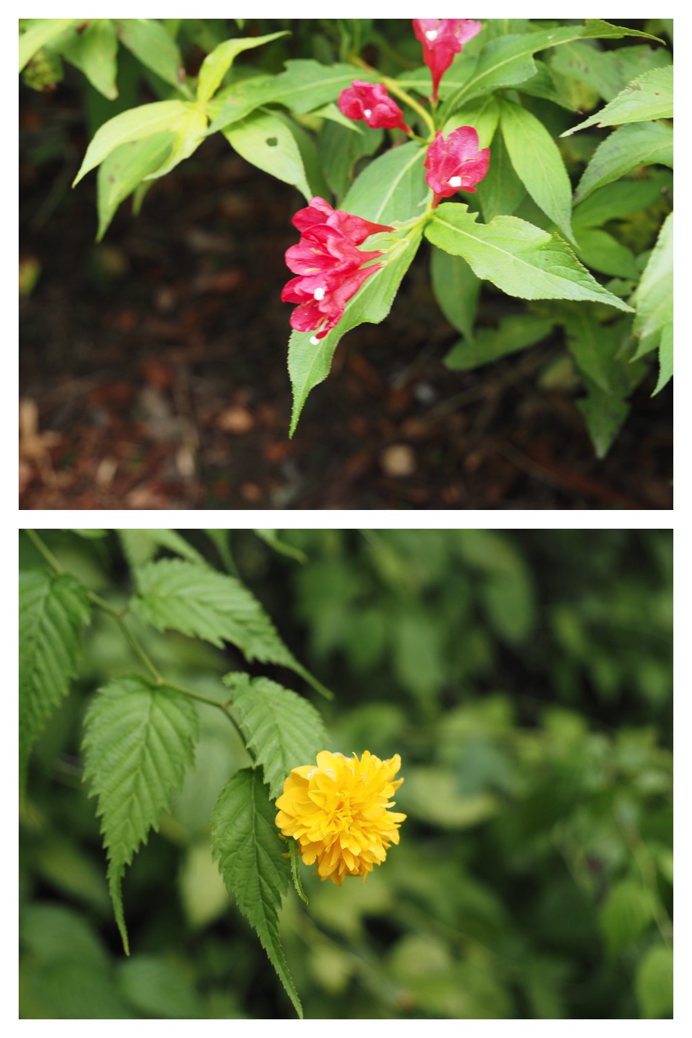 250831_Manabe_2
