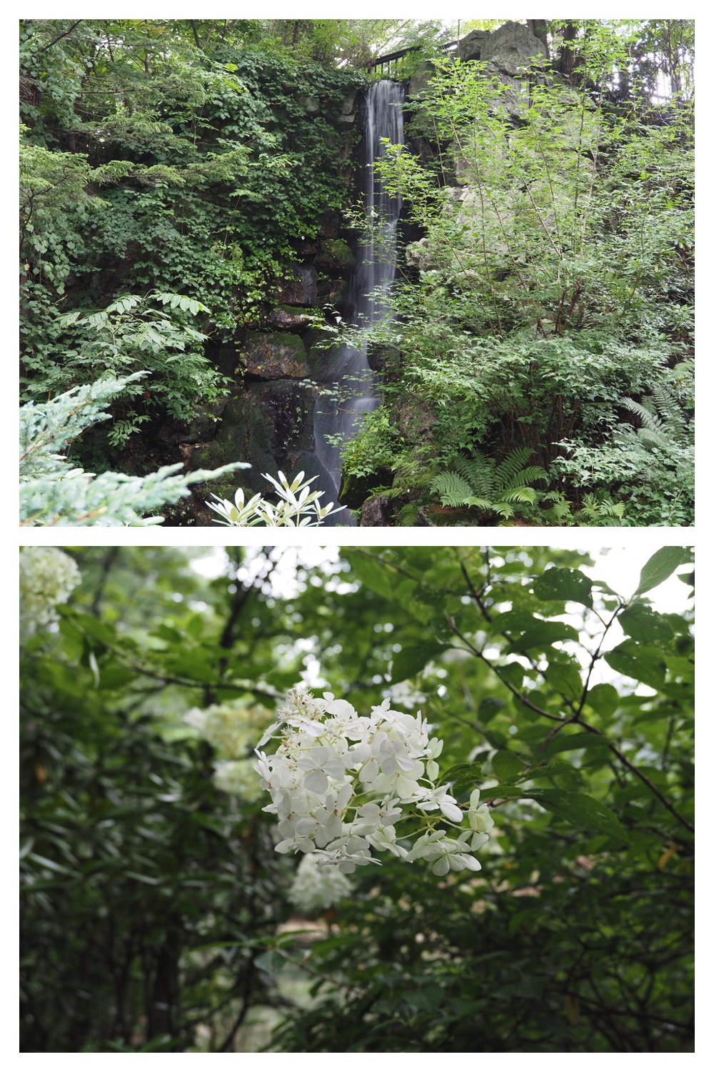 250831_Manabe_3