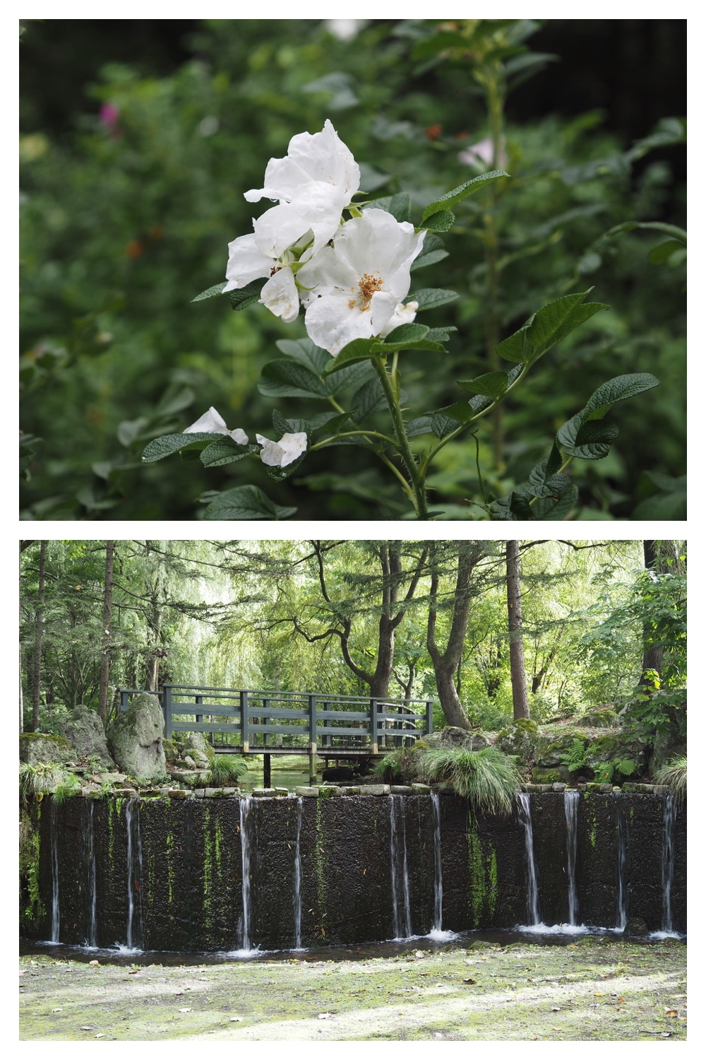 250831_Manabe_8