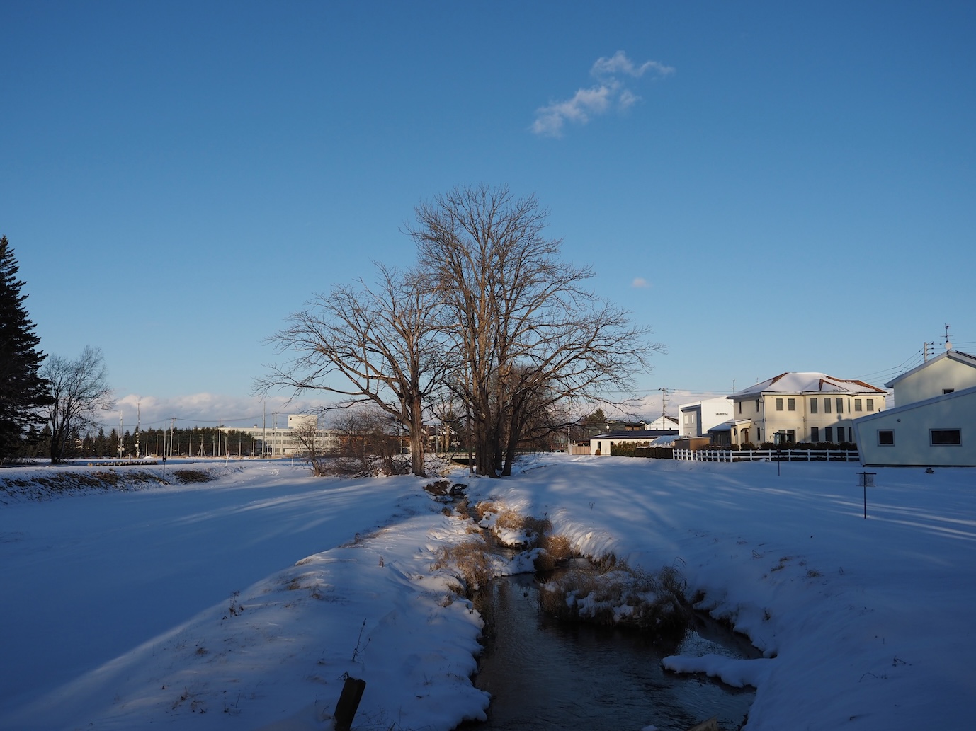 251204_First-snow_11