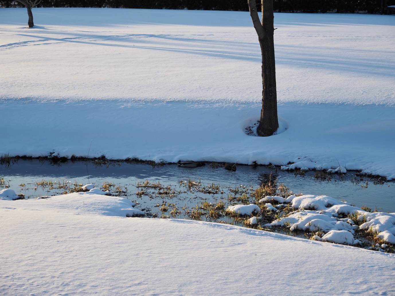 251204_First-snow_13