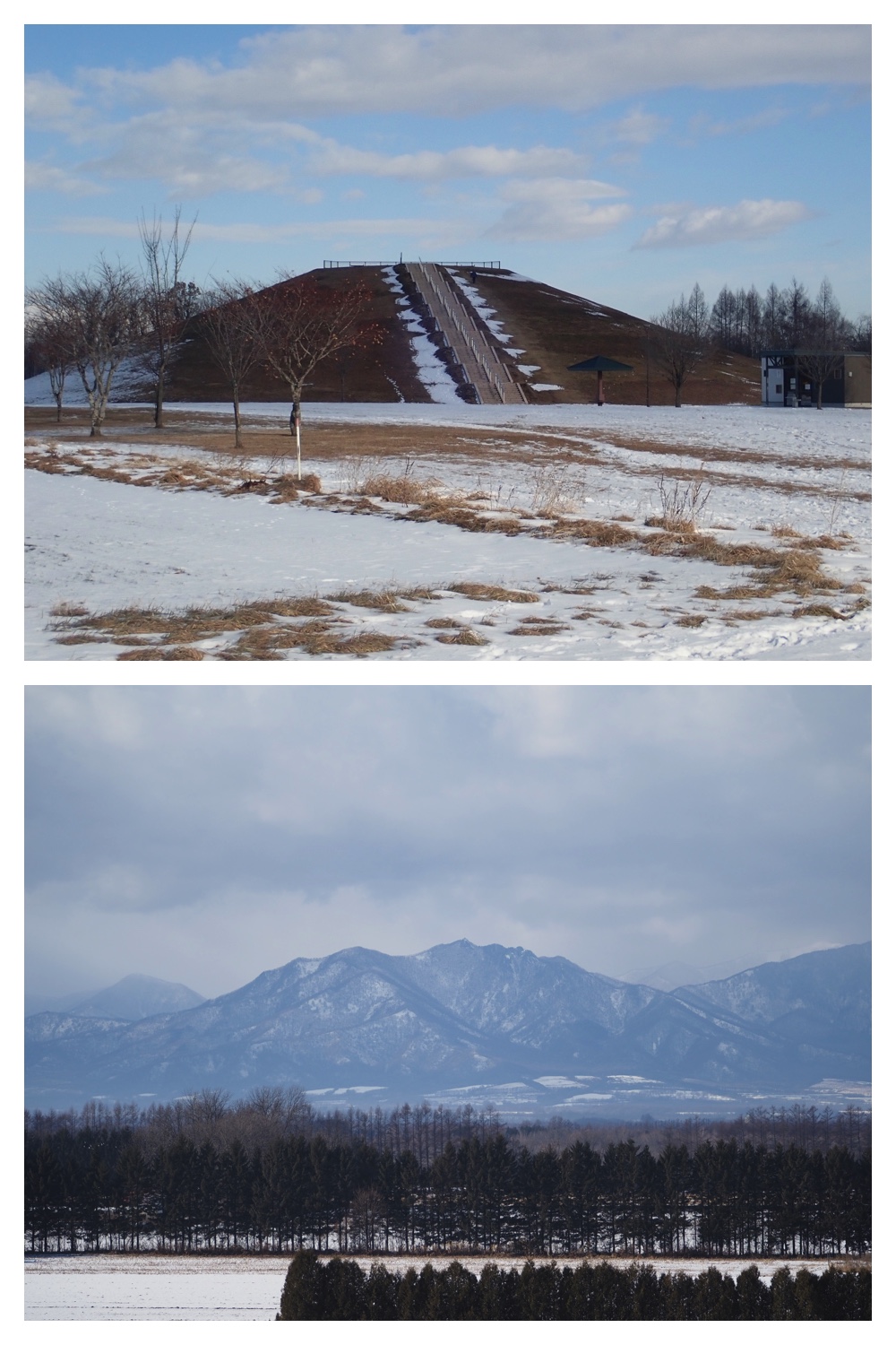 251207_Bird-survey_12