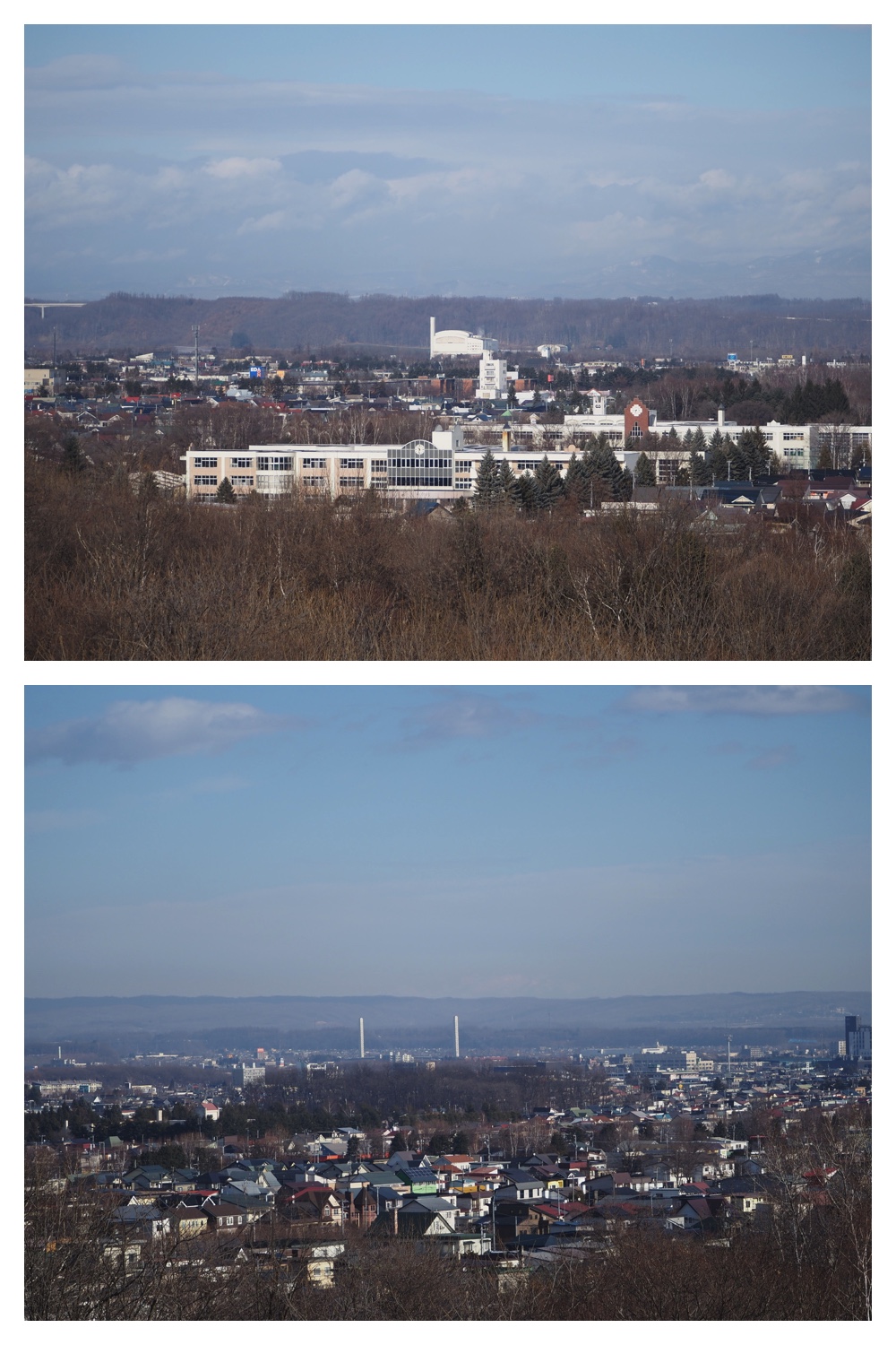 251207_Bird-survey_14