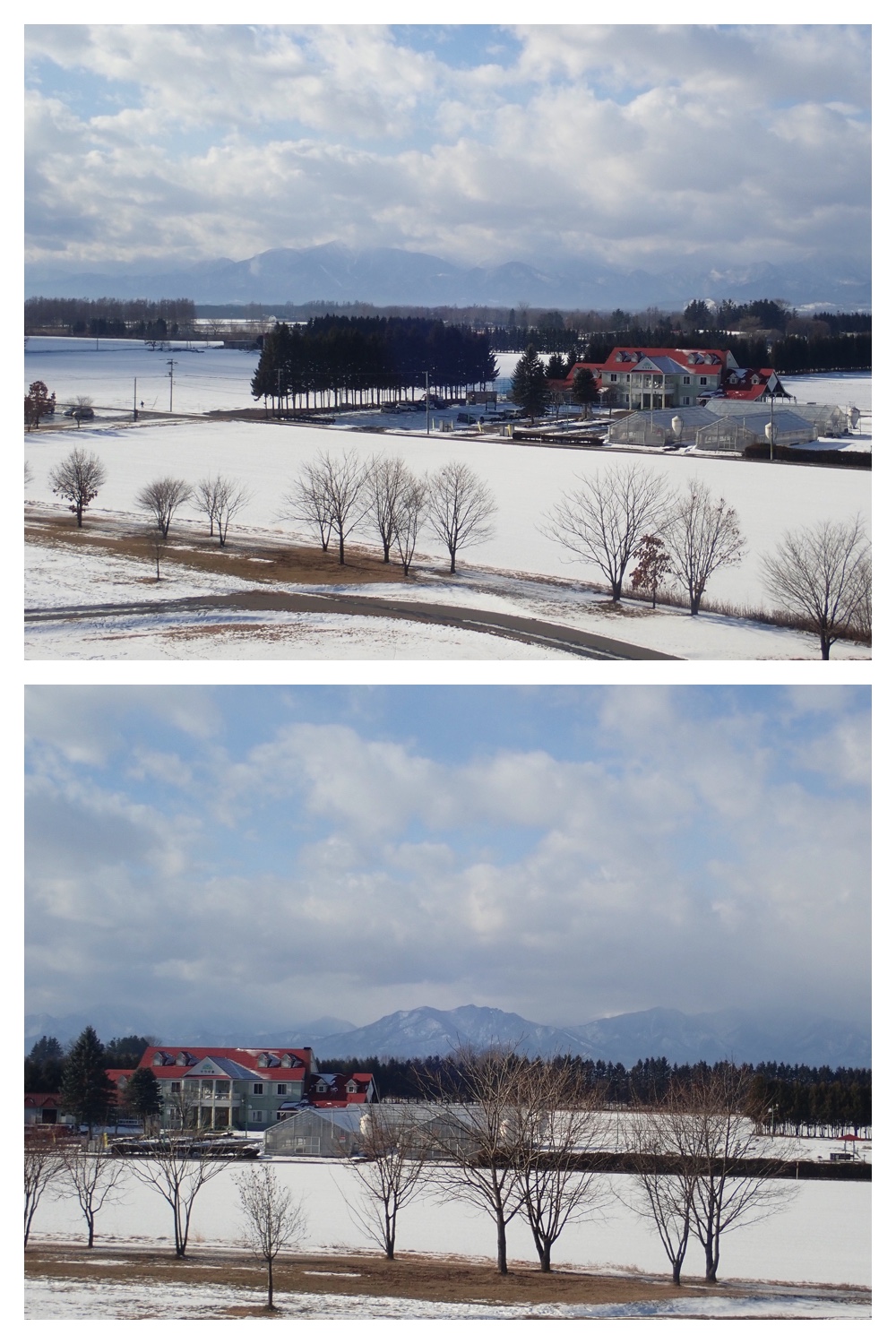 251207_Bird-survey_15