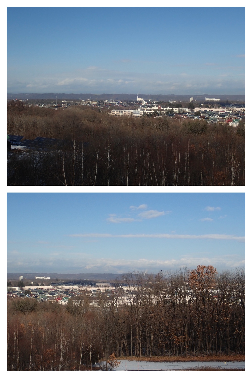 251207_Bird-survey_17