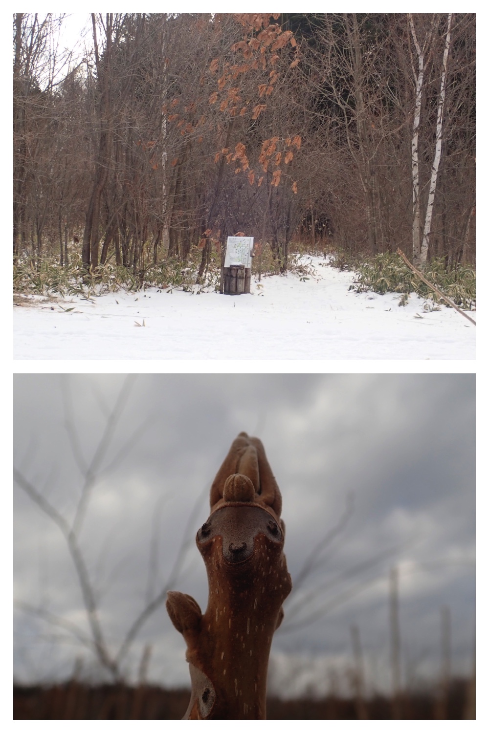 251207_Bird-survey_23