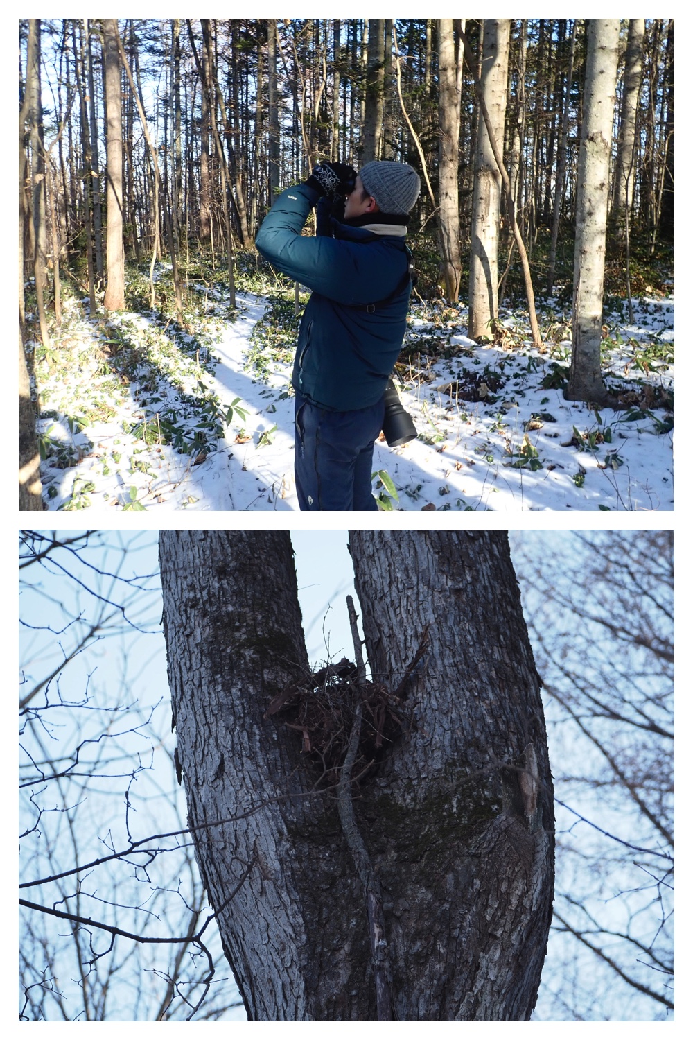 251207_Bird-survey_3