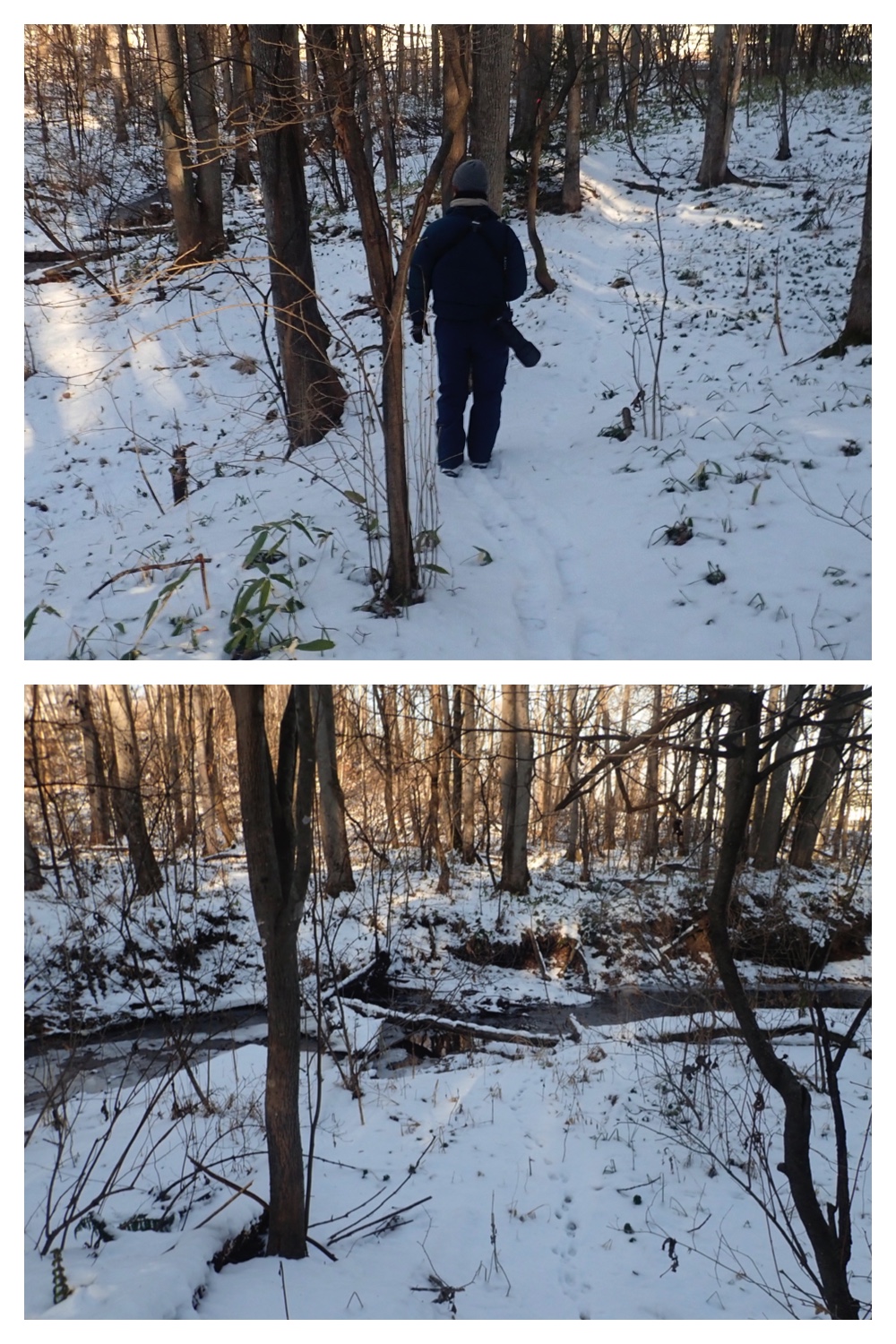 251207_Bird-survey_4