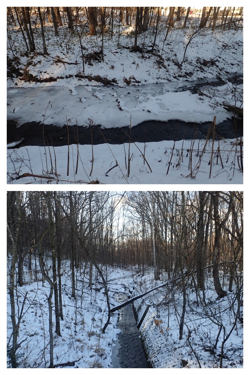 251207_Bird-survey_5