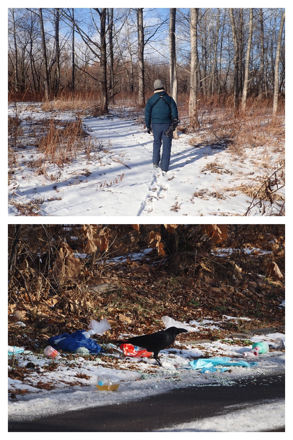 251207_Bird-survey_9