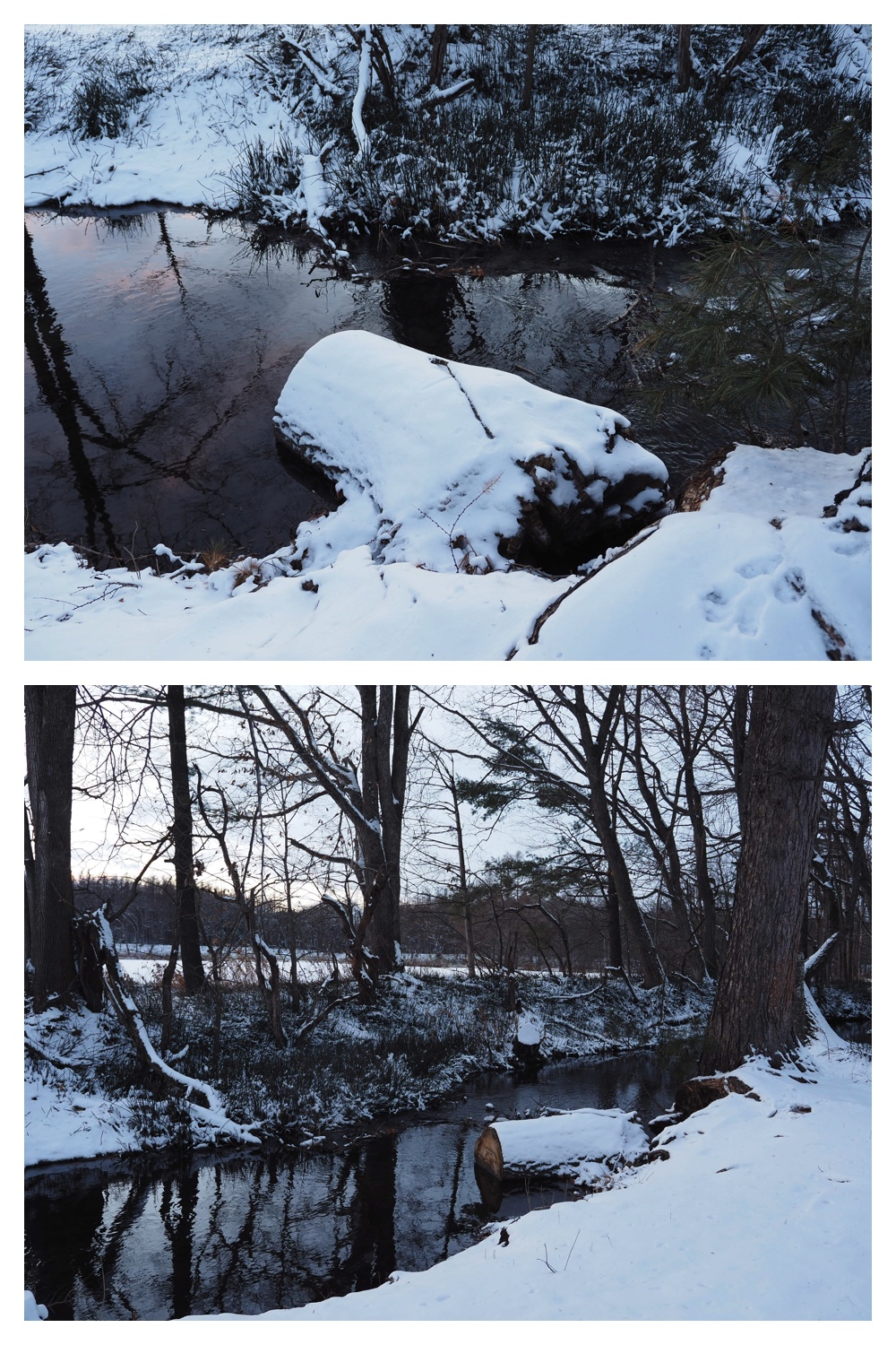 2251212_Evening-walk_10