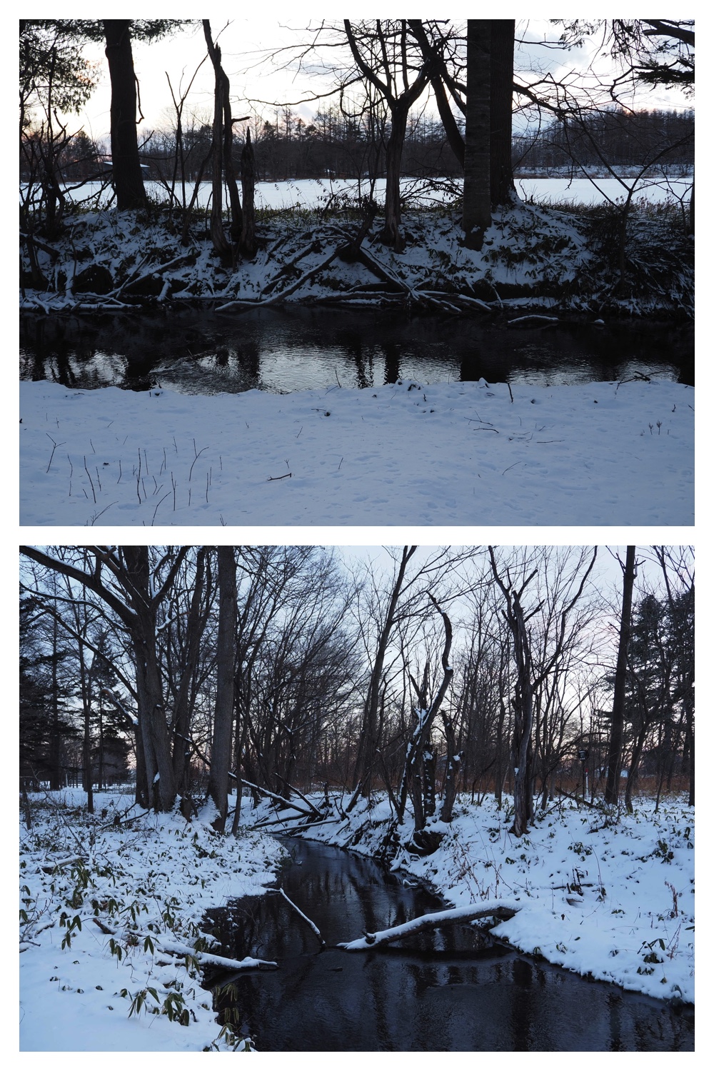 2251212_Evening-walk_11