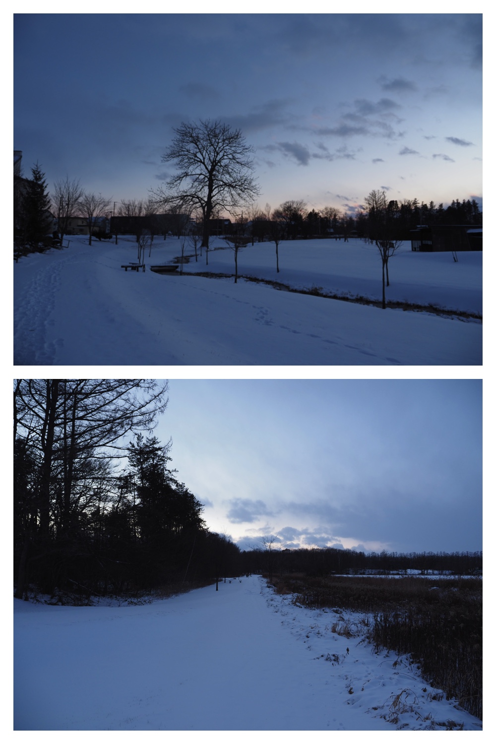 2251212_Evening-walk_12