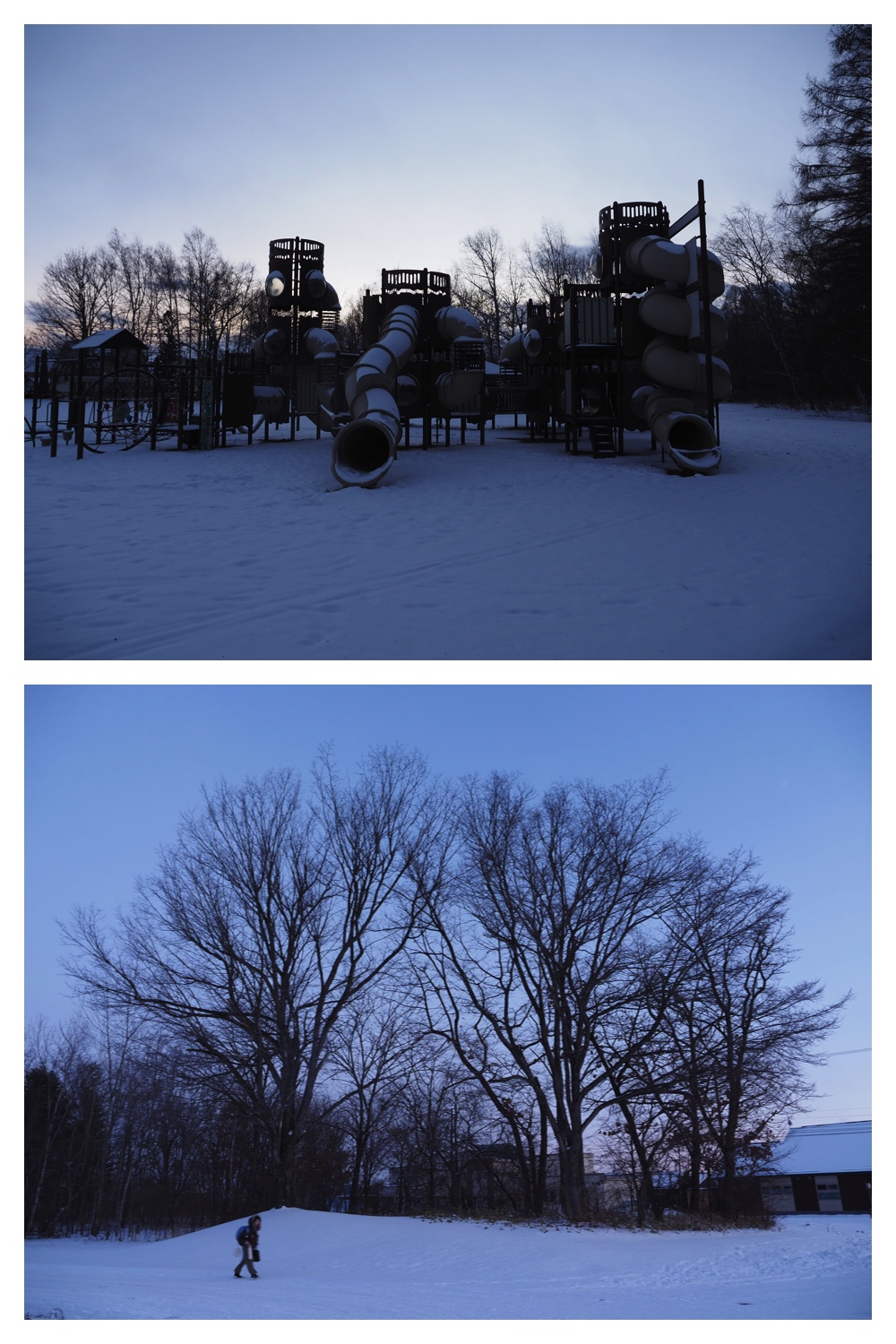 2251212_Evening-walk_14