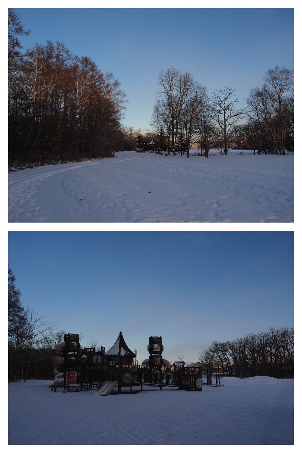 2251212_Evening-walk_2