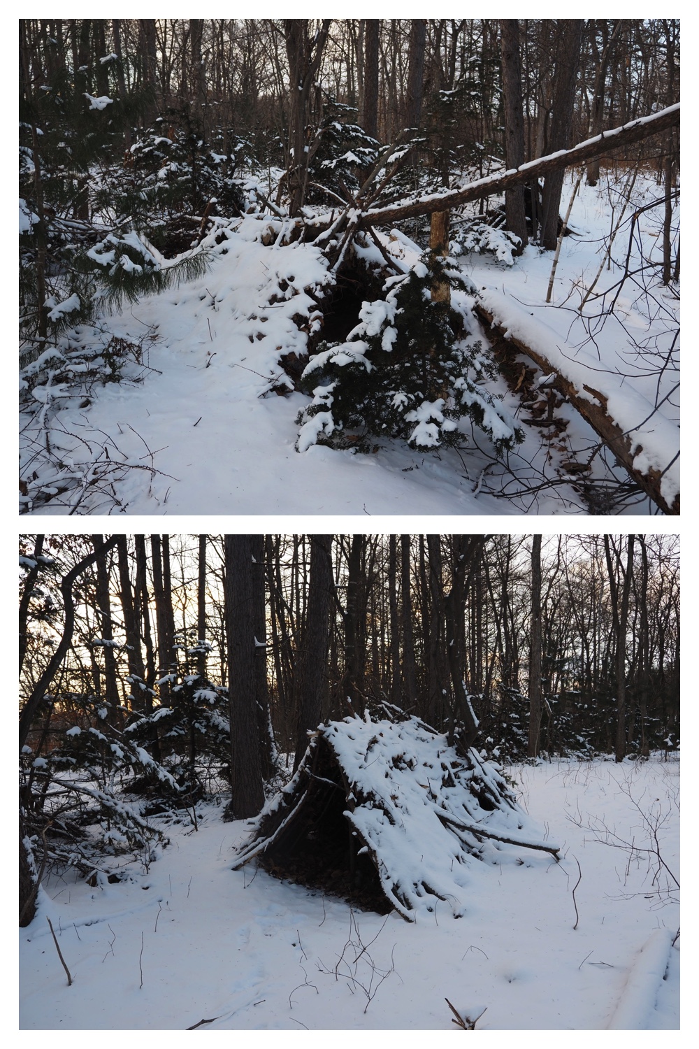 2251212_Evening-walk_3