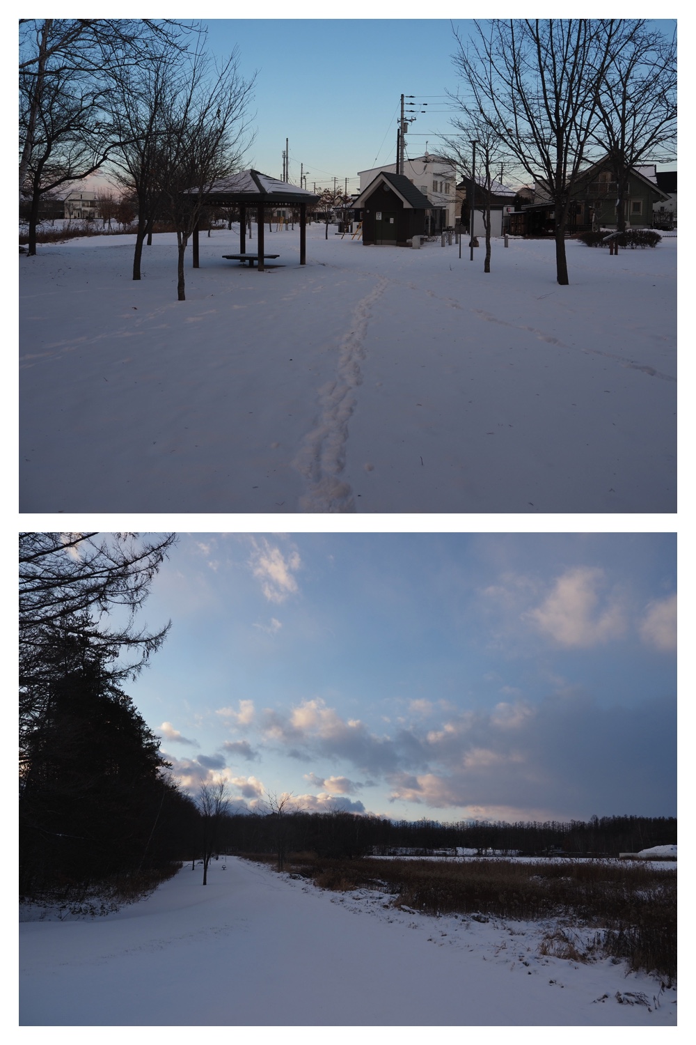 2251212_Evening-walk_5