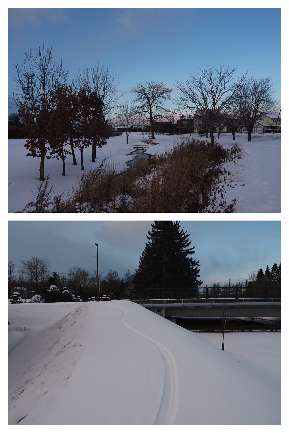 2251212_Evening-walk_6